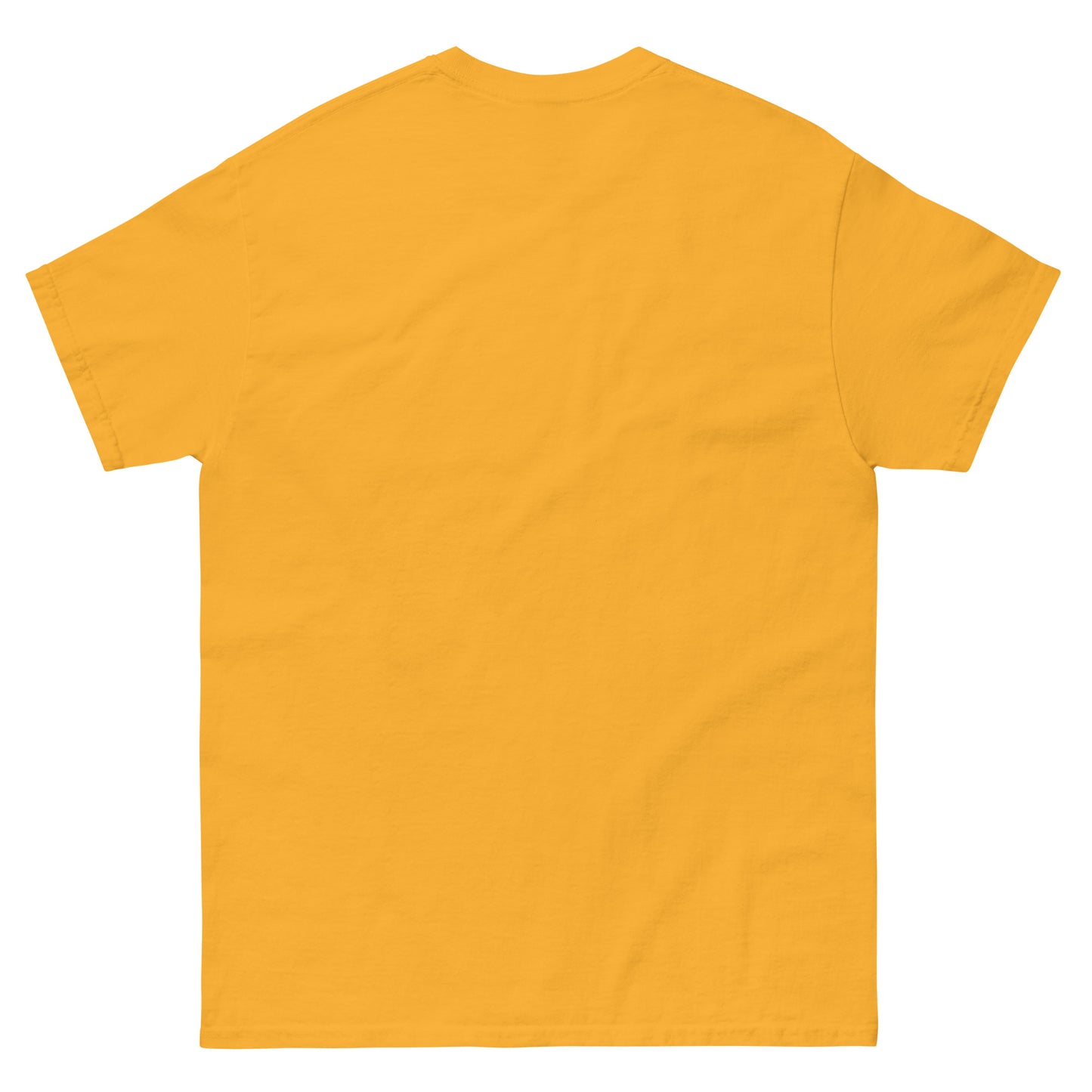Dear St. Anthony - Unisex classic tee