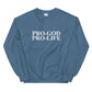 Pro-God Pro-Life - Unisex Sweatshirt